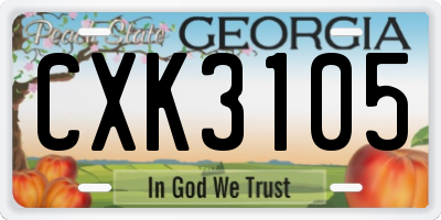 GA license plate CXK3105