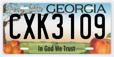 GA license plate CXK3109