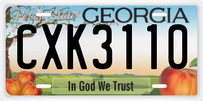GA license plate CXK3110