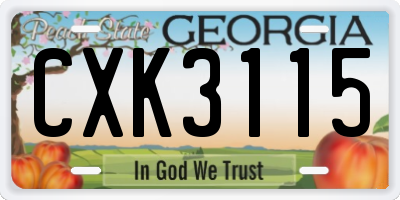 GA license plate CXK3115