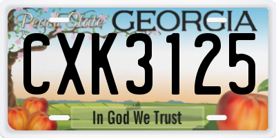 GA license plate CXK3125