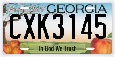 GA license plate CXK3145