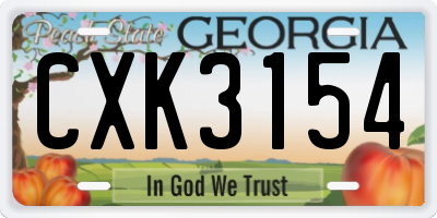 GA license plate CXK3154