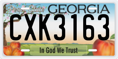 GA license plate CXK3163