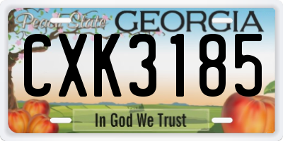 GA license plate CXK3185