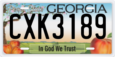 GA license plate CXK3189