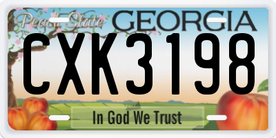 GA license plate CXK3198