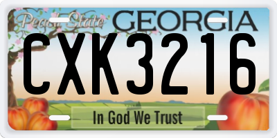 GA license plate CXK3216