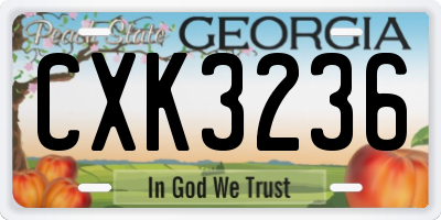 GA license plate CXK3236