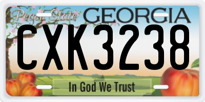 GA license plate CXK3238