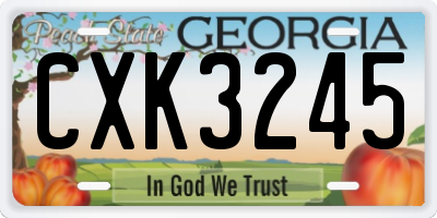GA license plate CXK3245