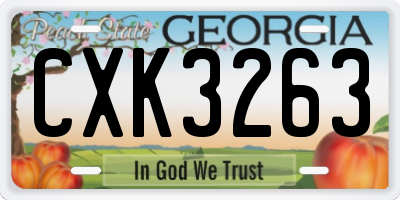 GA license plate CXK3263