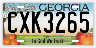 GA license plate CXK3265