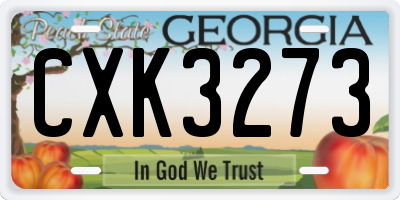 GA license plate CXK3273