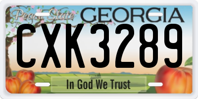 GA license plate CXK3289