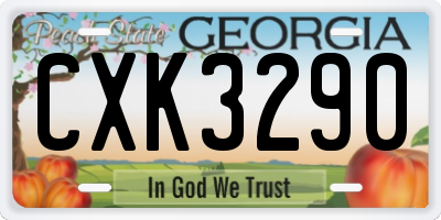 GA license plate CXK3290