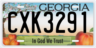 GA license plate CXK3291