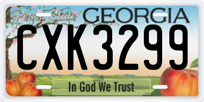 GA license plate CXK3299
