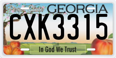 GA license plate CXK3315