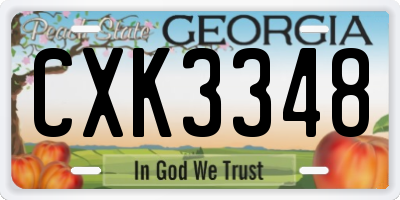 GA license plate CXK3348