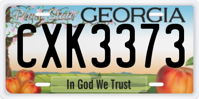 GA license plate CXK3373