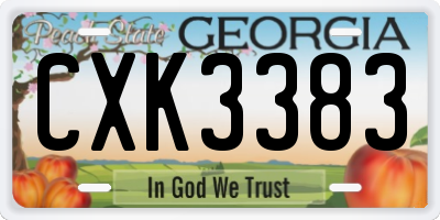 GA license plate CXK3383