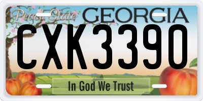 GA license plate CXK3390