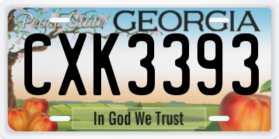GA license plate CXK3393