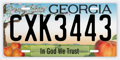 GA license plate CXK3443