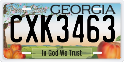 GA license plate CXK3463