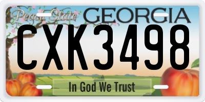 GA license plate CXK3498