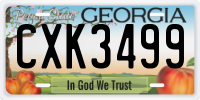 GA license plate CXK3499