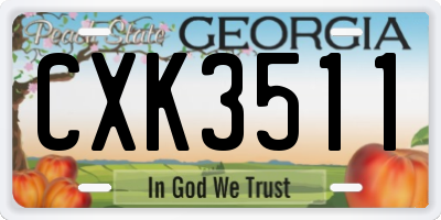 GA license plate CXK3511