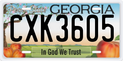 GA license plate CXK3605