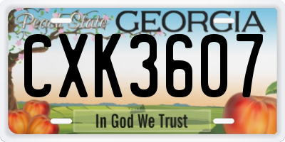 GA license plate CXK3607