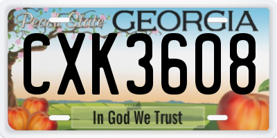 GA license plate CXK3608