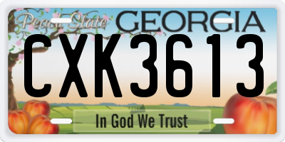 GA license plate CXK3613