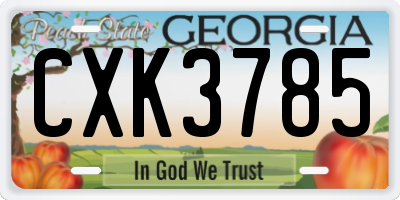 GA license plate CXK3785