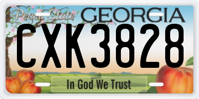 GA license plate CXK3828