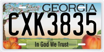 GA license plate CXK3835