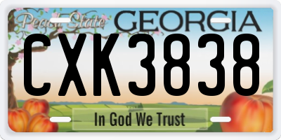 GA license plate CXK3838