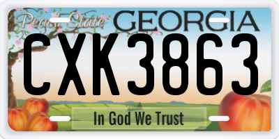 GA license plate CXK3863