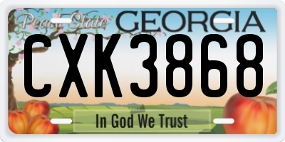 GA license plate CXK3868