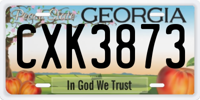 GA license plate CXK3873