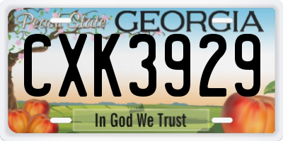 GA license plate CXK3929