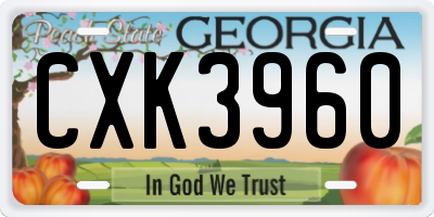 GA license plate CXK3960
