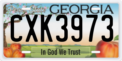 GA license plate CXK3973