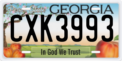 GA license plate CXK3993