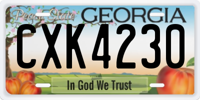 GA license plate CXK4230