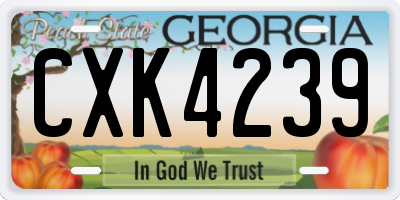 GA license plate CXK4239